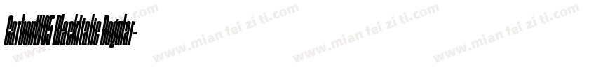 CarbonW05 BlackItalic Regular字体转换